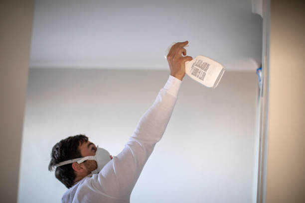 Mold Removal and Inspection in Duncan Falls, OH